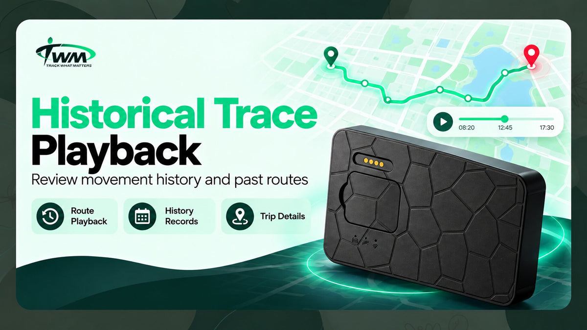 TWM G50 historical trace playback: route playback, history records and trip details