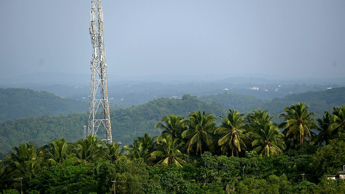 A mobile network tower rising above palm trees and forested hills