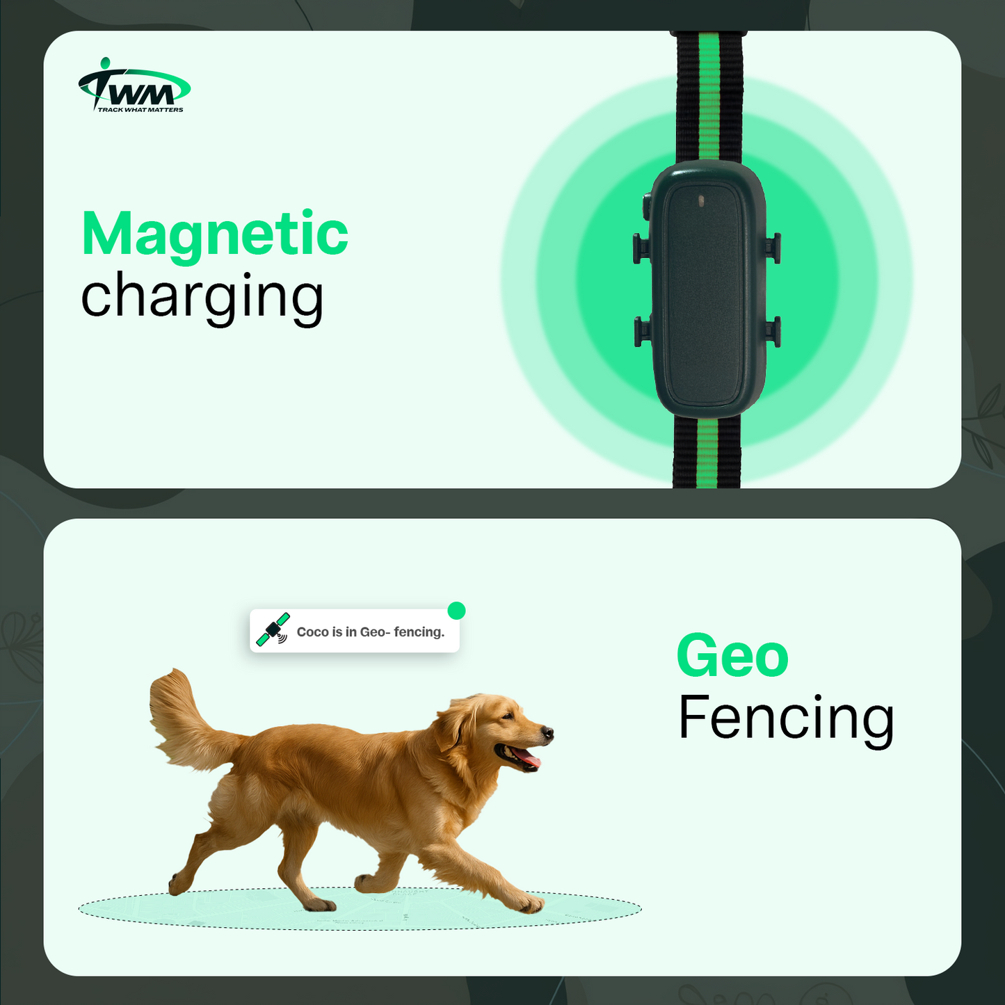 TWM Pet Tracker