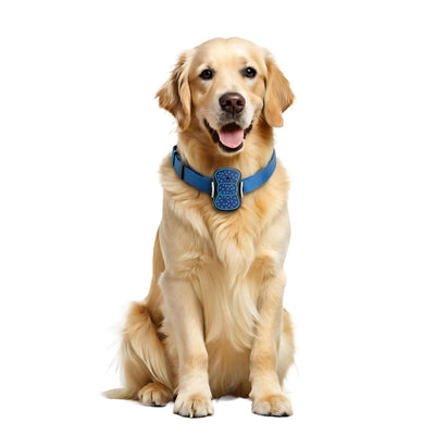 TWM Lite Pet Tracker