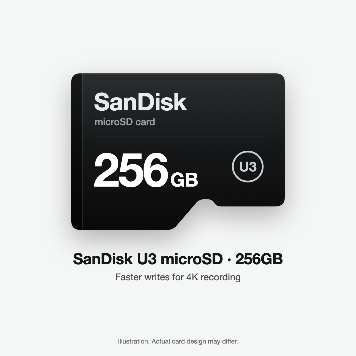 SanDisk U3 microSD card 256GB (illustration)